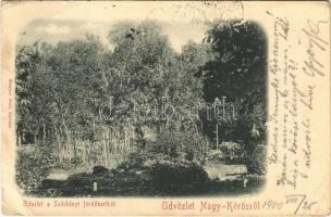 1900 Nagykőrös, Nagy-Kőrös; Széchenyi fürdőkert. Geszner Jenő kiadása  (EK)