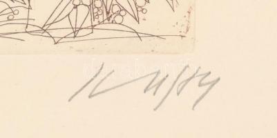 Kass János (1927-2010): Portrék. Rézkarc, papír, jelzett, üvegezett fa keretben, 8,5x14,5 cm