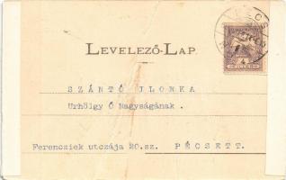 1900 Püspökszentlászló (Hosszúhetény), Hetyey Sámuel pécsi püspök nyaralója Szent-Lászlón. Dr. Cz. f...