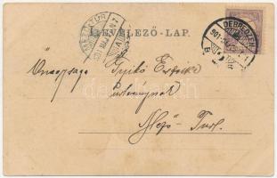 1901 Debrecen, Csokonai Vitéz Mihály szobor (ázott / wet damage)