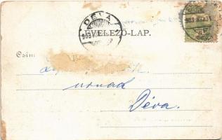 1903 Esztergom, Bazilika és Prímási palota. Kardos Dezső kiadása (vágott / cut)