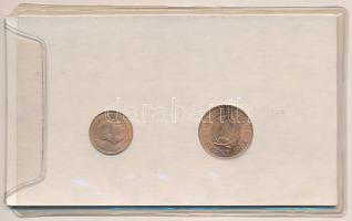 Sierra Leone 1964. 1/2c Br + 1c Br karton információs lapon T:1
Sierra Leone 1964. 1/2 Cent Br + 1 ...