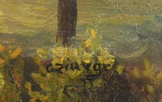 Czinege Zsolt (1964-): Kikötő. Olaj, vászon, jelzett. 60x91 cm