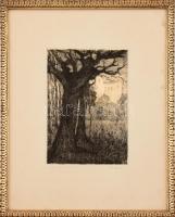 E. Schott jelzéssel: Am Waldrand (Erdőszélen). Rézkarc, papír, jelzett. Üvegezett, aranyozott fa keretben, 17,5x12,5 cm