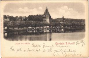1900 Palics, Palic; erdő és tó / lake and forest (EK)