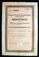 1910. "Debreczeni Hitelbank Részvénytársaság" részvénye 200K-ról, szelvényekkel