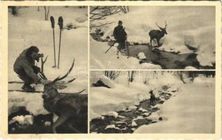 1942 Volóc, Volovec, Volovets; Sí- és vadászterepek a Borzsovai-havasokon, síelő szarvassal, téli sport. Hangya szövetkezet kiadása. Foto Manduk / ski and hunting fields, winter sport, skier with deer (EK)