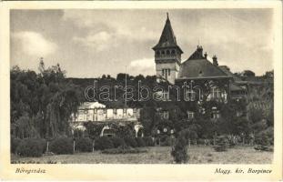 1940  Beregszász, Beregovo, Berehove; M. kir. borpince / state wine cellar (EB)