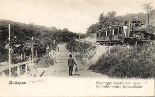 Budapest cogwheel train