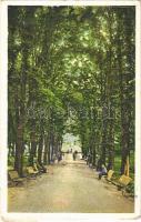 1934 Vihnye, Vihnyefürdő, Kúpele Vyhne; Gyógyfürdő, sétány / spa, promenade (EK)