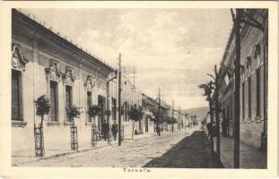 1927 Tornalja, Safárikovo, Tornala; utca. H. Friedmann kiadása / street view (EK)