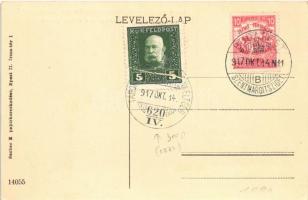 1917 Budapest XI. Duna részlet, Gellért hegy és Ferenc József híd. Sachse E. kiadása + "BUDAPES...