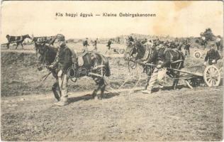 1915 Kis hegyi ágyúk / Kleine Gebirgskanonen / WWI Austro-Hungarian K.u.K. military, small mountain guns (EK)