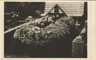 Székesfehérvár, Kaszap István első sírhelye virággal borítva