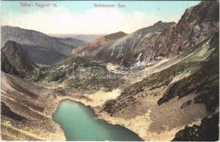 1909 Tátra, Magas Tátra, Vysoké Tatry; Fagyott tó / Gefrorener See / frozen lake