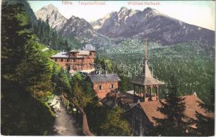 1909 Tátra, Magas Tátra, Vysoké Tatry; Tarpatakfüred / Wildbad Kohlbach