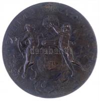 Beck Ö. Fülöp (1873-1945) 1896. "1896-iki Ezredéves Országos Kiállitás / Kiállítási Érem az Érd...