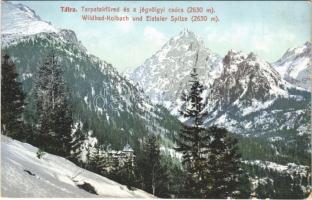 1909 Tátra, Vysoké Tatry; Tarpatakfüred és a jégvölgyi csúcs. Cattarino S. kiadása 1907. 242. / Wildbad Kolbach, Eistaler Spitze