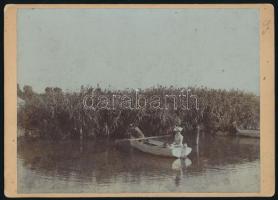 cca 1890 Balaton csónakázók nádassal,. fotó. 18x13 cm