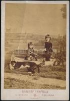 cca 1880 Pozsony látképe műtermi fotón háttérként: Kozics műterme. Pressburg. Törésnyommal. 11x16 cm