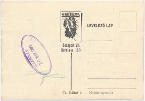 Az új földesúr. Magyar gúnyos antiszemita művészlap. Judaika, Nemzet Szava kiadása / New landlord. H...