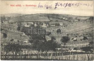 1916 Mór, szőlő, Kecskehegy