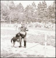 cca 1960-1980 Rákoskeresztúr, Ráckeve, Kőbánya, stb. kirándulás, nyaralás, fotónegatív kisfilmek 9 d...