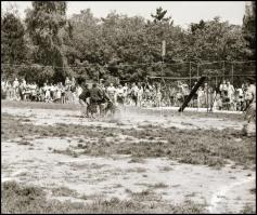 cca 1960-1980 Rákoskeresztúr, Ráckeve, Kőbánya, stb. kirándulás, nyaralás, fotónegatív kisfilmek 9 d...