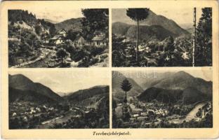 1939 Terebesfejérpatak, Terebes (Trebusa), Dilova, Dilove (Máramaros); (Rb)