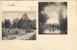 1932 Csákó (Kondoros), kastély park (EK)