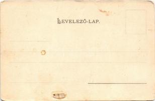 Törökbálint, Walla kilátótorony és villa, szőlő (kopott sarkak / worn corners)