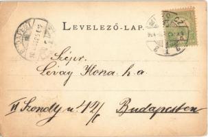 1904 Miskolc, Arany János utca.  Ferenczi Károly kiadása. művészlap s: Kiss L. (EB)