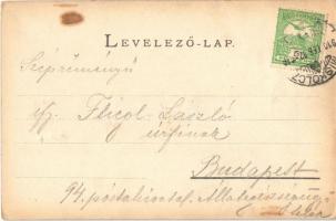 1910 Miskolc, Deák utca.  Ferenczi Károly kiadása. művészlap s: Kiss L. (EB)