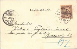 1901 Szeged, Közművelődési palota (szakadás / tear)