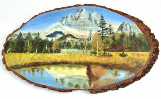 Hegyi tó. Fára festett kép. Olaj, fa. Jelzés nélkül, 33x51 cm