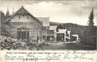 1904 Szebenjuharos, Hohe Rinne, Paltinis; nyaralók / Gruss vom Kurhaus Auf der hohen Rinne / villas (EK)