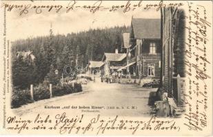 1903 Szebenjuharos, Hohe Rinne, Paltinis; nyaralók / Kurhaus Auf der hohen Rinne / villas (EK)
