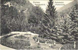 1910 Ponyászka, Poneasca (Bozovics, Bozovici); park. Weiss Félix kiadása / park