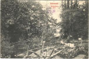 1911 Kolozsvár, Cluj; Botanikus kert / botanical garden