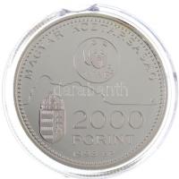 1998. 2000Ft Ag "WWF - Óvd a természetet" sérült kapszulában és dísztokban, tanúsítvánnyal...