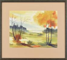 Gyenes jelzéssel: Őszi táj. Akvarell, papír. Üvegezett fa keretben. 21x31 cm.
