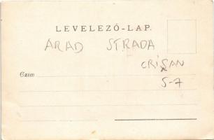 Arad, Karolina utca, Lészay házak / Strada Crisan 5-7. / house. photo