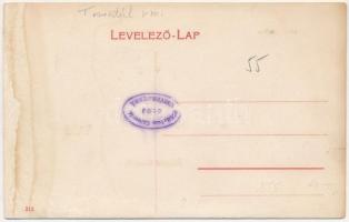 Csene, Tschene, Cenej, Cenei; szerb és római katolikus templom, községház / churches, town hall (fl)