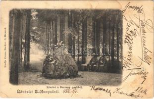1902 Bánffyhunyad, Huedin; Barcsay park. Csoma Sándor kiadása (EK)