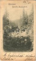 1900 Bánffyhunyad, Huedin; részlet a Vledjassáról. Czettel és Deutsch / forest (kis szakadás / small tear)