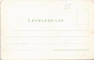 Marosvásárhely, Targu Mures; Fő tér, Bem szobor, Echwert, Petelei, Izmael Ferenc üzlete / main squar...