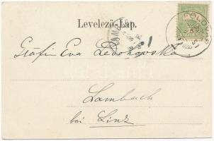 1905 Hídvég, Haghig; Nemes kastély és kápolna. Verl. J. E. von Steegmüller Photograf