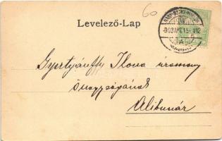 1903 Nagyszentmiklós, Sannicolau Mare; Gróf Nákó kastély, látkép, sörgyár, sörfőzde, Gondűző vendégl...