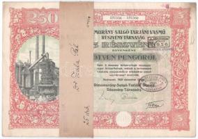 Budapest 1925. "Rimamurány-Salgó-Tarjáni Vasmű Részvény-Társaság" tíz részvénye egyenként ...