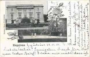 1900 Kápolnás, Capalnas, Caparias, Capolnas; Mocsonyi-Teleki kastély, teniszpálya teniszezőkkel. Haleska János fényképész / castle, tennis court. floral